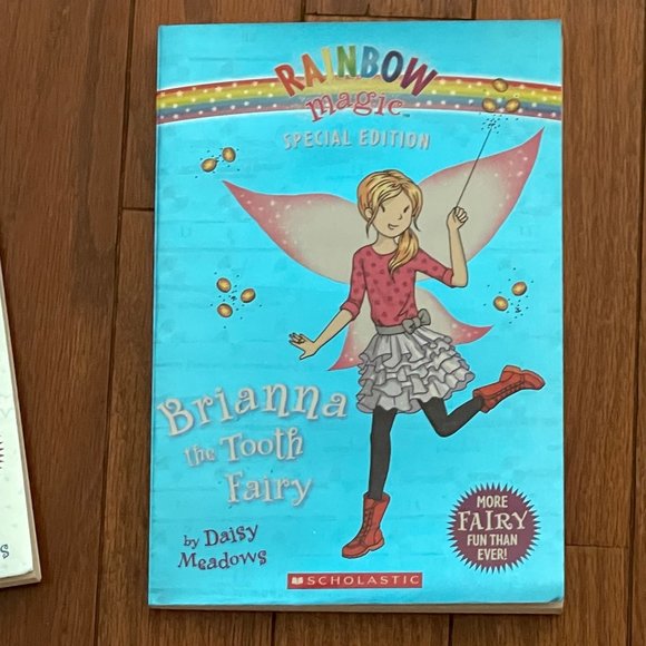 Rainbow Magic Special Edition 5 Book Lot - Picture 7 of 12